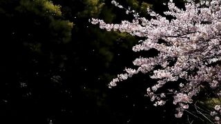 Teen with an overflowing cooch gets banged in an mateur vid