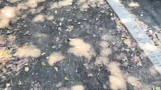 Creampie and passionate sex for a teen hottie that cums