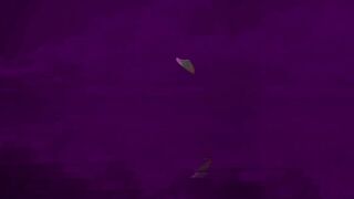 Porn2all - New Blake Blossom