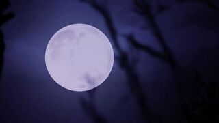 Porn2all - LETZY LIZZ DEVIL BUSTY DOLL