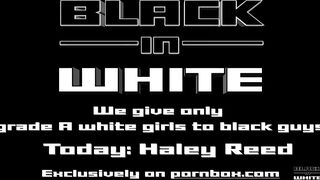 Porn2all - Haley Reed inviting two BBCs to demolish her