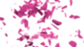 Porn2all - New Amalia Davis Amalias Anal Sex Tour