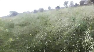 Porn2all - Fucking my cousin sister in jungle full hd video link