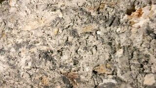 Porn2all - Marina Beaulieu Cheating french Milf in hot anal interracial