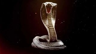 Porn2all - Holly Hotwife BBC Hotel Hookup