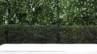 Porn2all - CastingCouchHD Liliana Busty Hot Girls