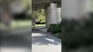 Porn2all - new onlyfans tiffany leiddi