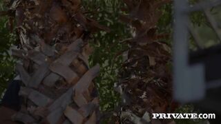 Porn2all - Marina Beaulieu Milf Enjoys Anal While Her Husband Watch