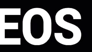 Porn2all - Kayden Kross OnlyFans