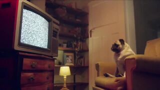 Porn2all - New Blake Blossom vs Hungrylla