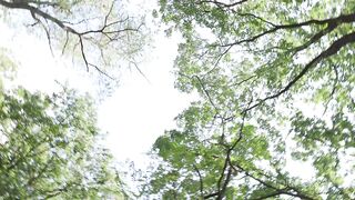 Porn2all - Julia Maze Run for craving wet 6on1