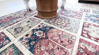 New Porn2all - Alexis Texas Onlyfans