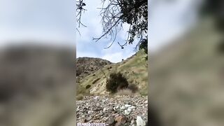 Porn2all - Kayley Gunner Public POV Sex In The Wood On Vacation