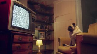 Porn2all - New Rachael Cavalli Reverse Fan Fuck