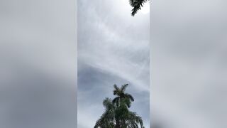 Porn2all - new onlyfans tiffany leiddi and khloe kapri