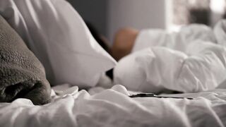 Porn2all - New Roxie Sinner The Mistake