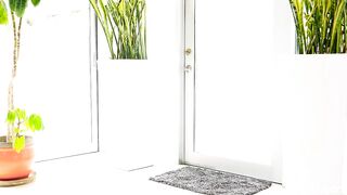 Porn2all - Net Girl Reina Rae Too Hot Not To Comeback