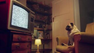 Porn2all - New Valentina Nappi, Anna De Ville and Monkey Star