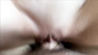 Porn2all - New Justine Jakobs The Taboo Fantasy