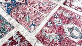 Porn2all - New busty Nia Bleu