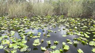 Porn2all - Sex Friends МІАМІ Cast Tiffany Ⅼеіⅾⅾi and Khloe Kapri