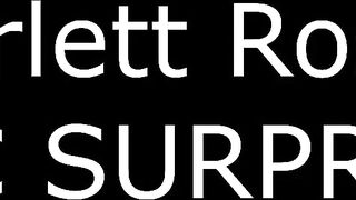 Porn2all - New Scarlett Rose My Tits Are My Secret Weapon