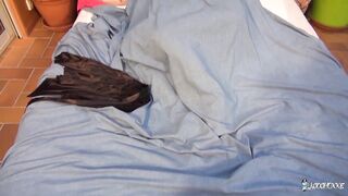 Porn2all - LA COCHONNE Vol2 Cast Ania Kinski, Elysee Paradise, Eva Lange, Serena Calas and Sisley Haim