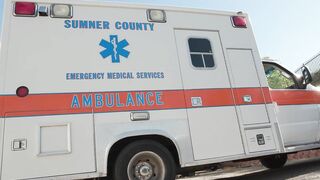 Porn2all - New Bailey Archer