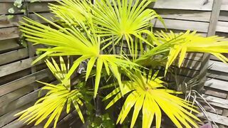 New Jacquie Et Michel TV Emilie 30 Years Old Is Less Shy Than She Thinks