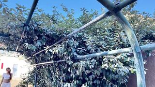 new JacquieEtMichelTV – Lolita, 25 years old, from Bordeaux!