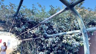 New Jacquie Et Michel TV Lolita 25 Years Old From Bordeaux