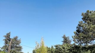 Lisa, MILF Nympho Fucks With Two Cocks