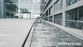 Double Lives Alexis Crystal, Blanche Bradburry, Belle Claire, Sara Kay, Barbara Bieber, Vanessa Decker