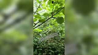 Watch HD & support me -> https://lulustream.com/clqizrr2tpnt littleangel84 Onlyfans S5 leak 20