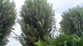 New JacquieEtMichelTV Cat In Mini goes through an unspeakable box 24 09 21