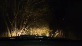 Indian Beautiful Girl Deep Blowjob And Fucking In Car With Boyfriend - [15:20]